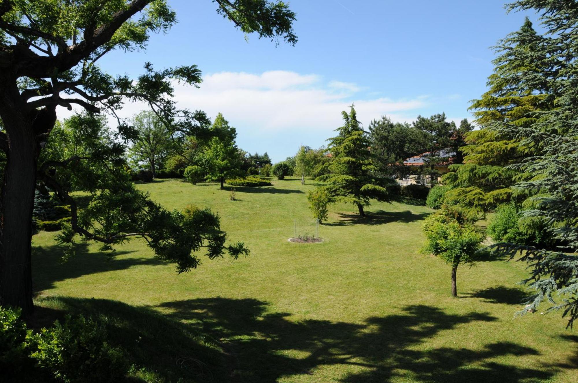 Villa Ester Tagliolo Monferrato Exteriér fotografie